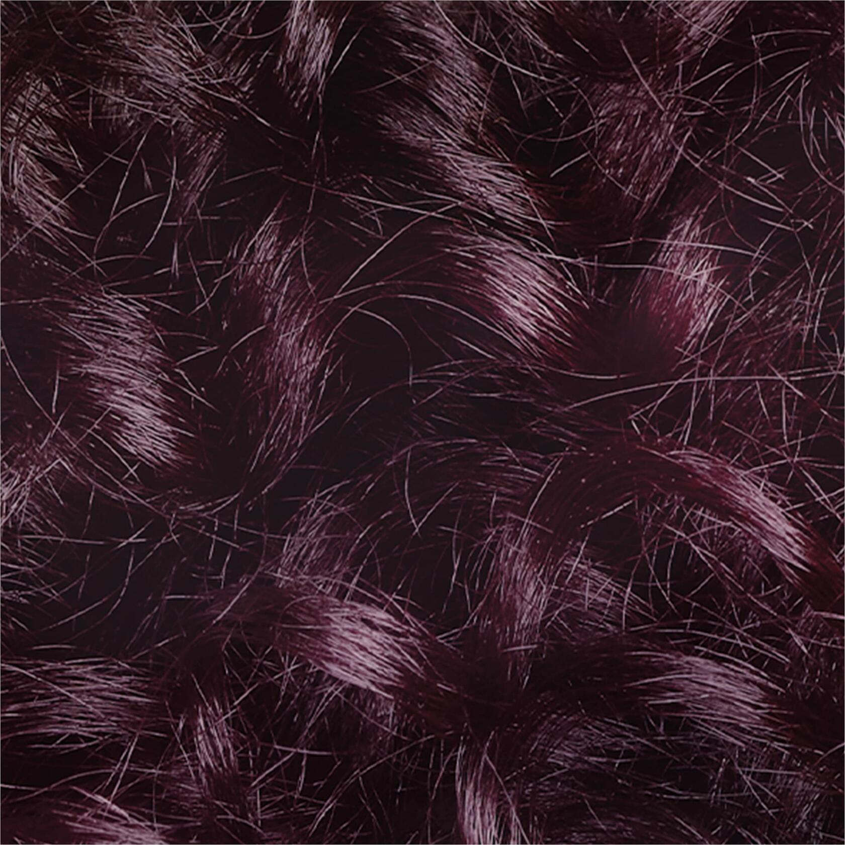 L’Oréal Paris Le Color Gloss One Step In-Shower Toning Hair Gloss, Iridescent Plum Purple, 4 Ounce, 12 count